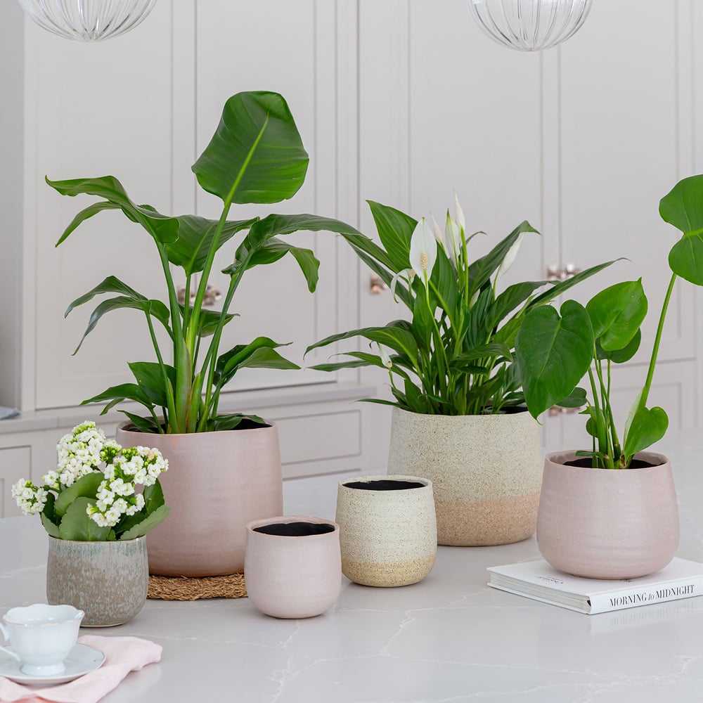 Ivyline Celeste Dusky Pink Planter 21 x 26cm Image 2