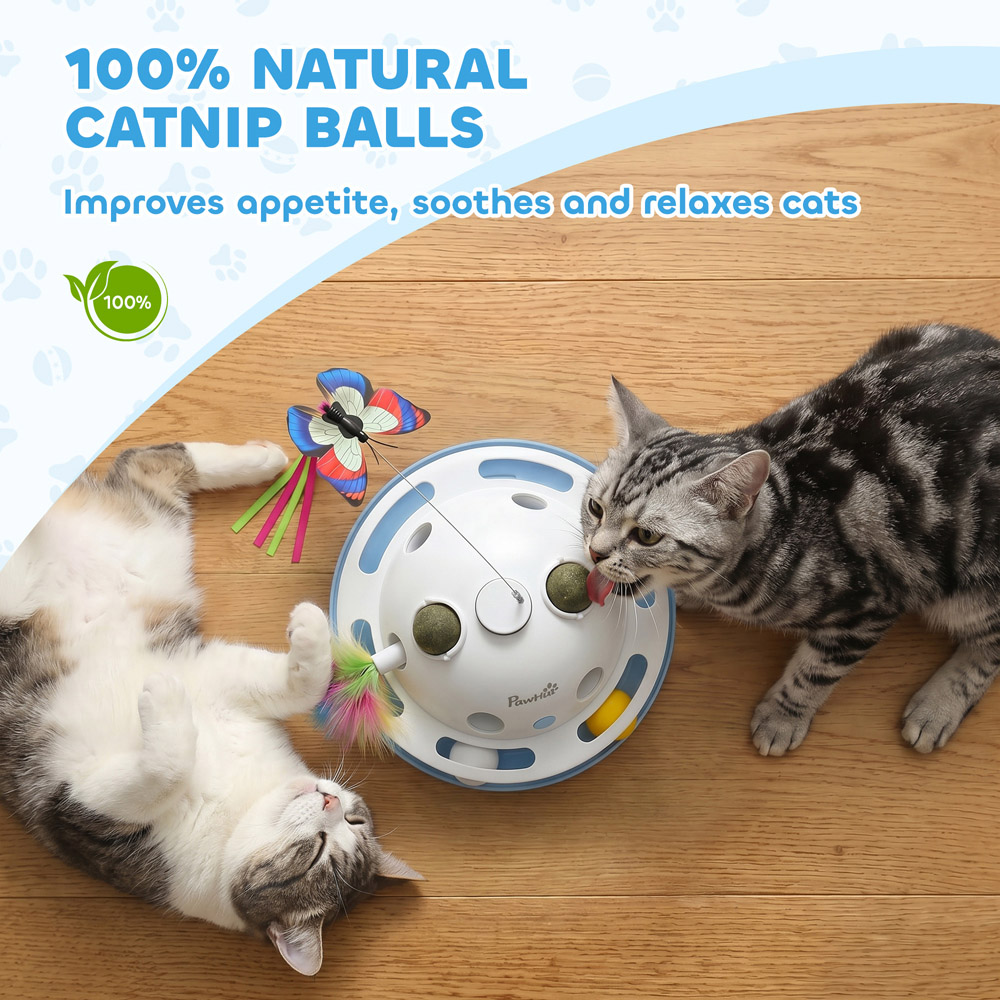 PawHut 4-in-1 Interactive Cat Toys with Butterfly and Catnip Ball Image 7