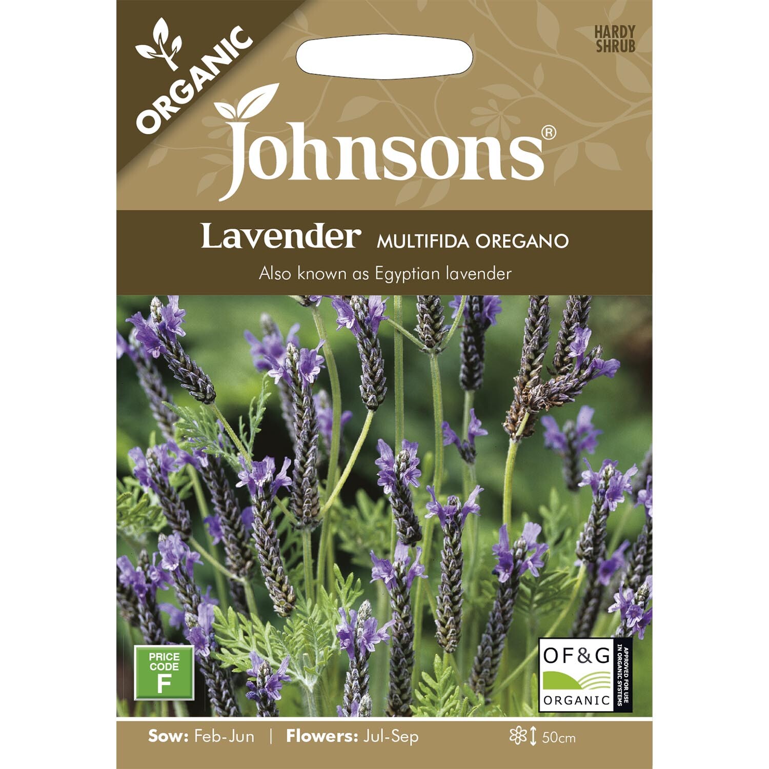 Johnsons Lavender Multifida Oregano Flower Seeds Image 2