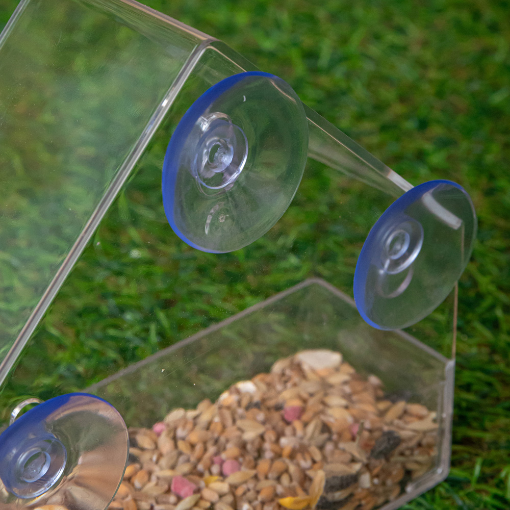 Samuel Alexander Plastic Window Wild Bird Seed Feeder Box Image 8