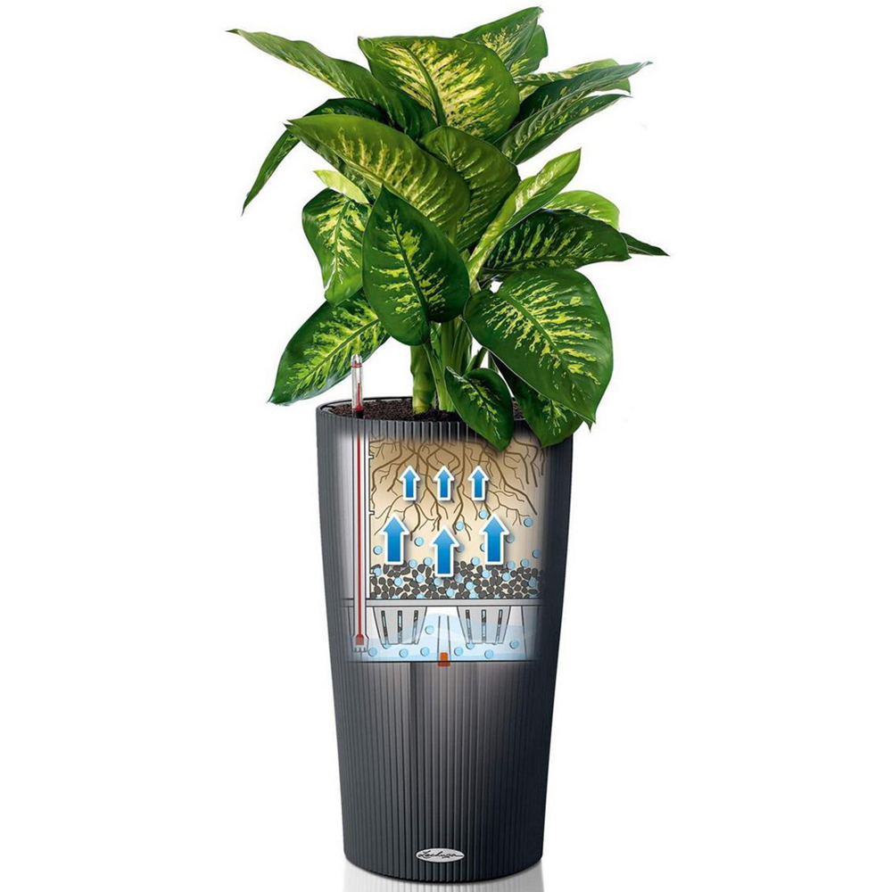Lechuza Cilindro Sand Brown Polyresin Self Watering Planter 41cm 2 Pack Image 3