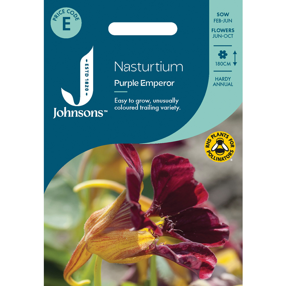 Pack of Nasturtium Purple Emperor Flower Seeds Image 1