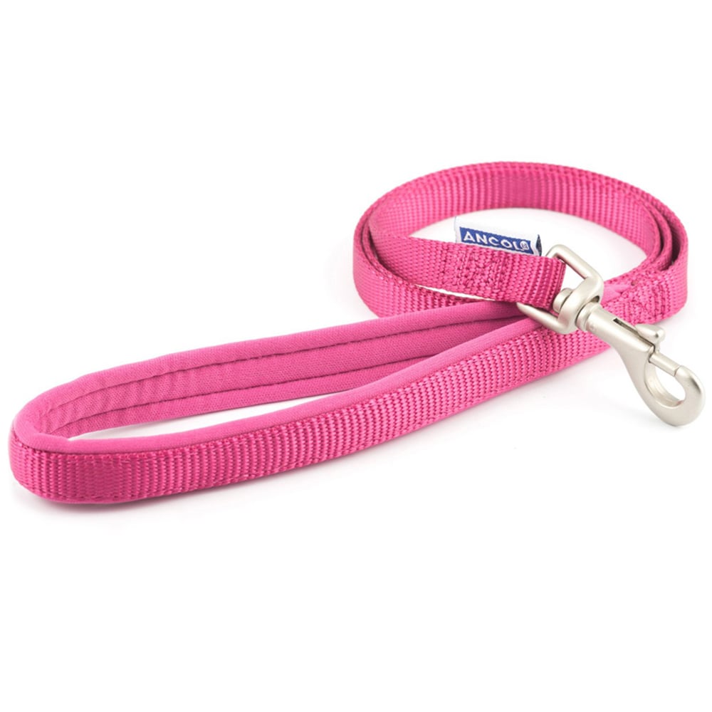 Ancol Nylon Dog Lead  - Raspberry / 2.5cm Image