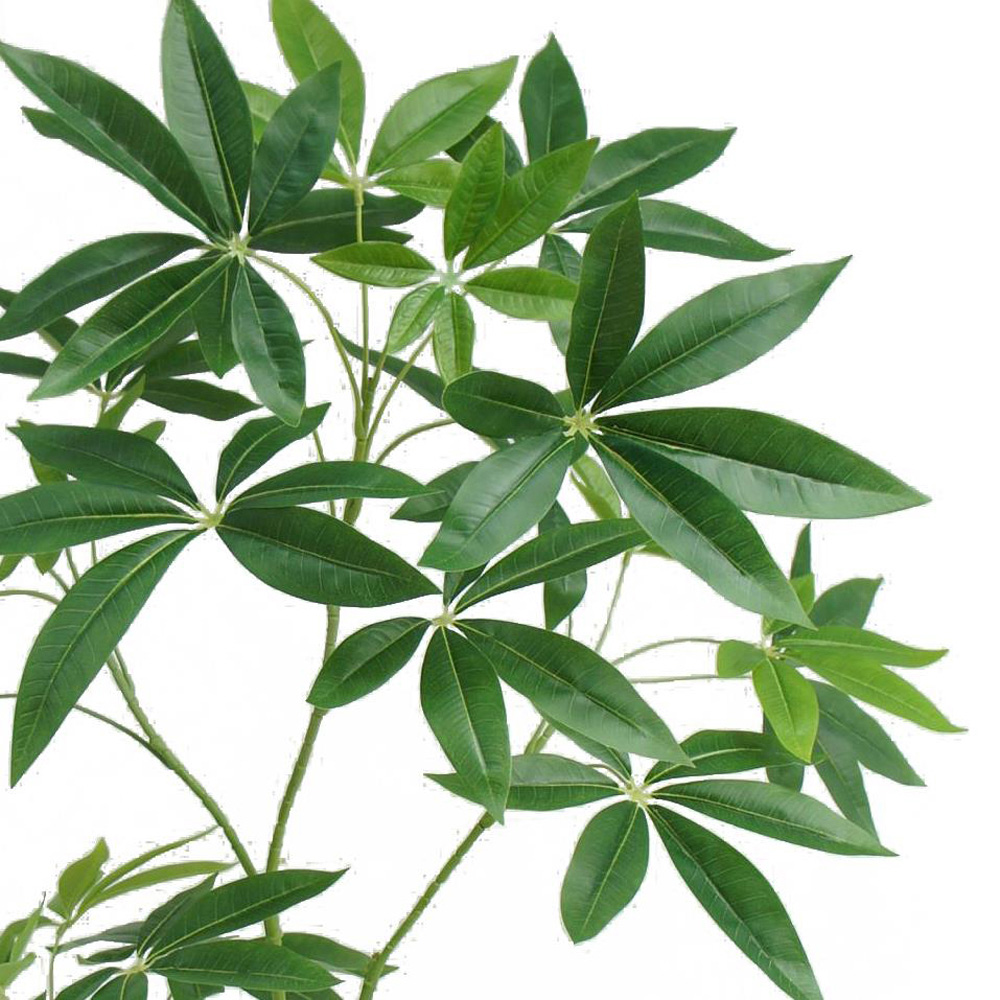 Botanik Pachira Money Tree Artificial Plant in Pot 4ft Image 2