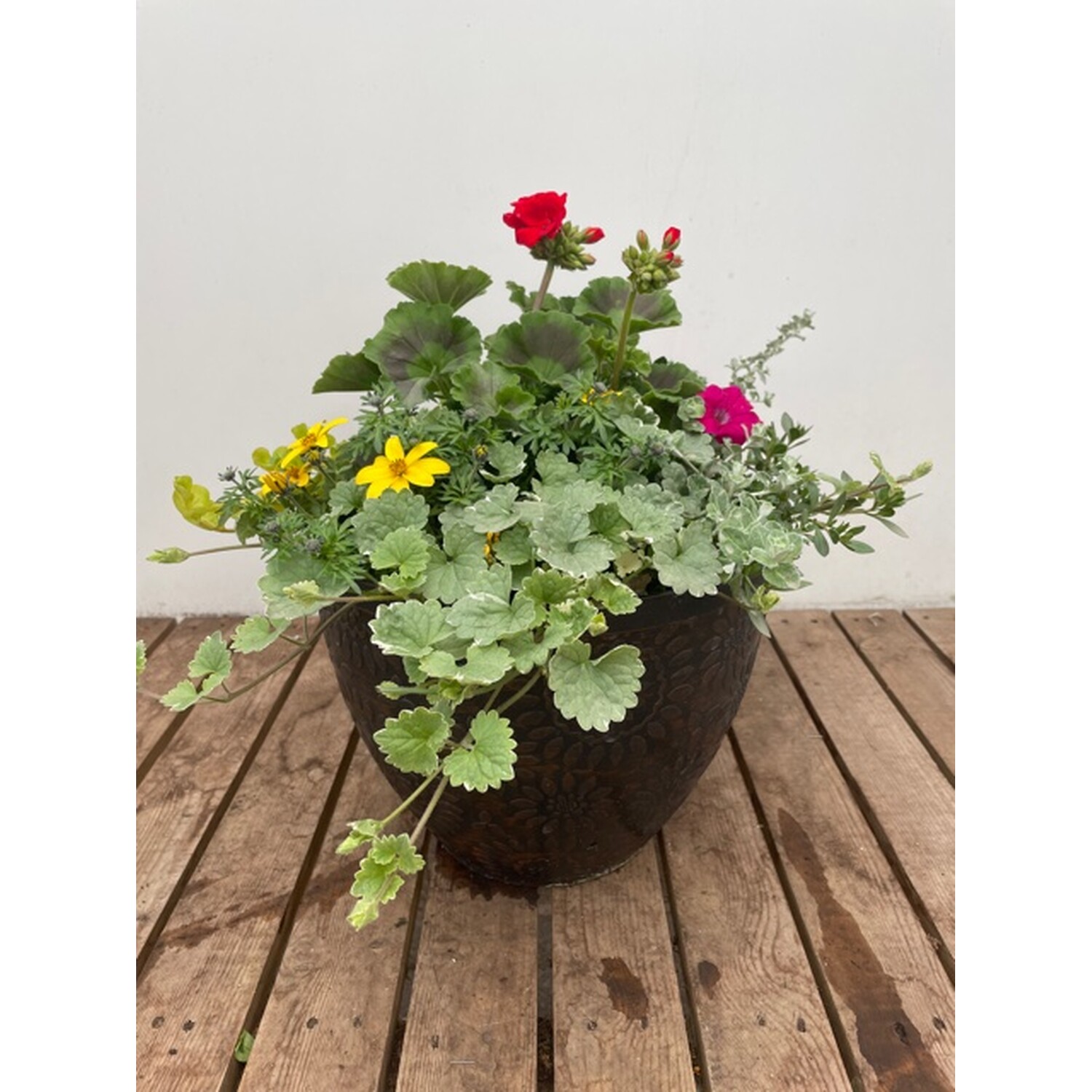 Summer Planter - Multicolour Image 2