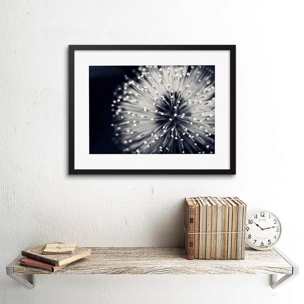 Wee Blue Coo Black and White Floral Bloom Flower Photo Framed Wall Art Print 30 x 41cm Image 2
