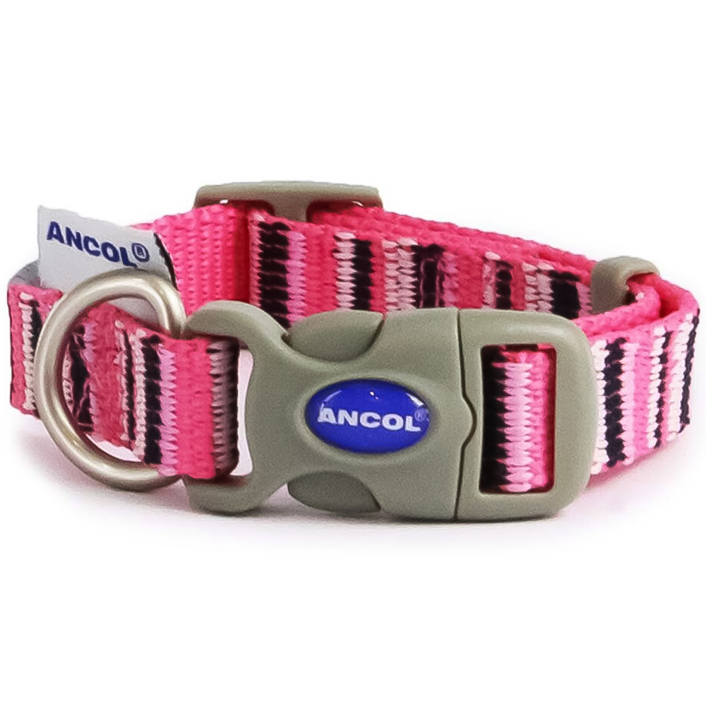 Candy Stripe Made From Dog Collar - Hot Pink / 20 - 30cm Neck Image