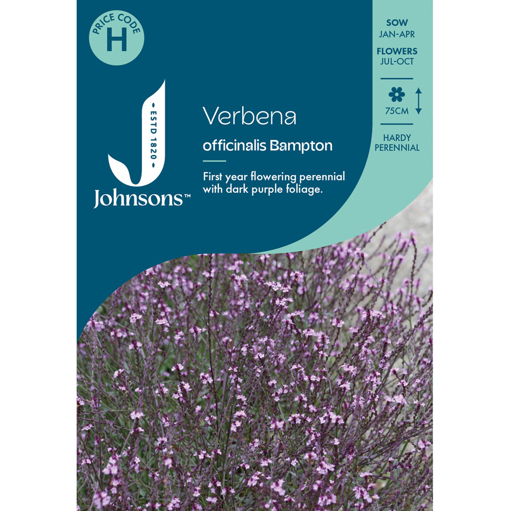 Pack of Verbena Officinalis Bampton Perennial Flower Seeds Image 1