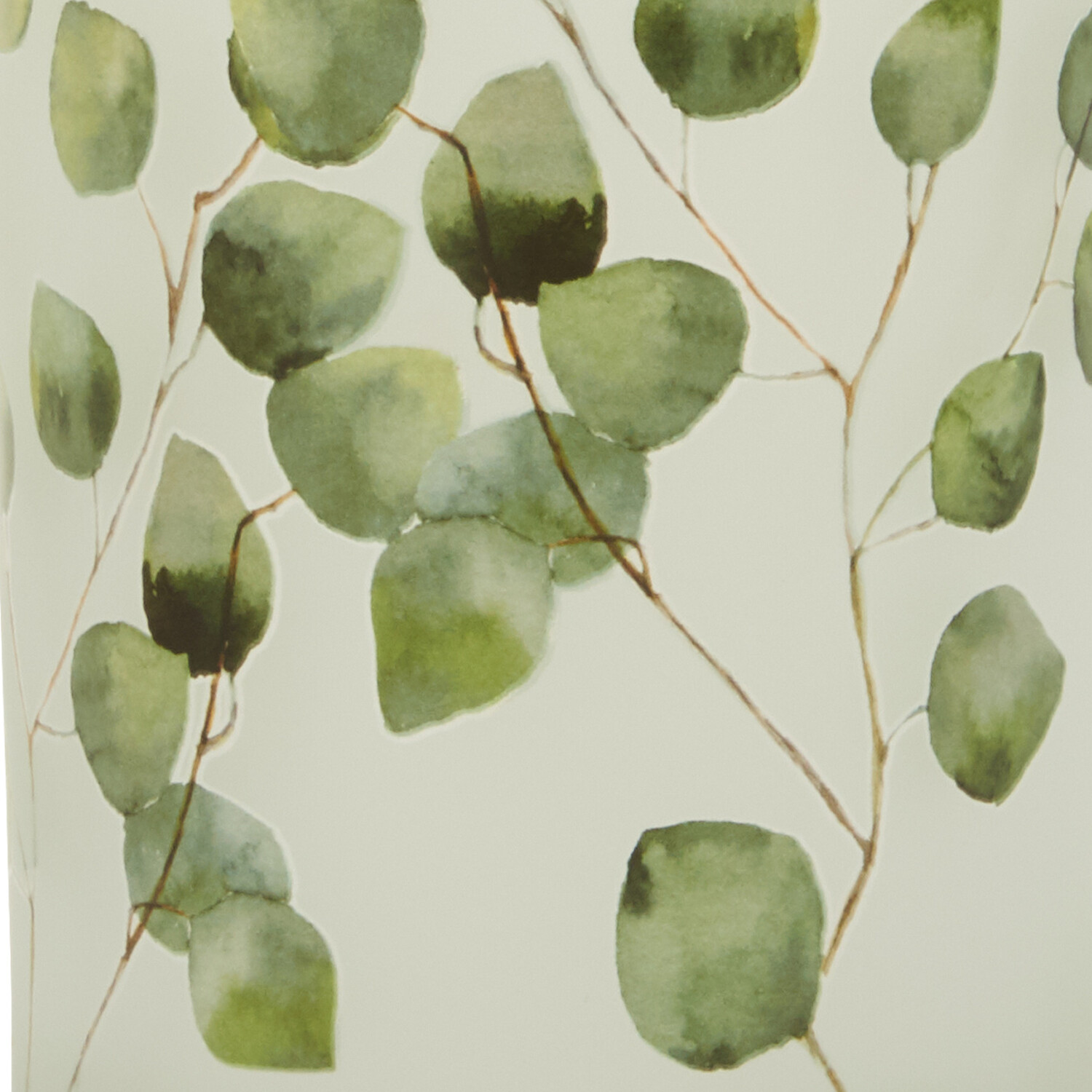 Eucalyptus Vase - Green Image 4