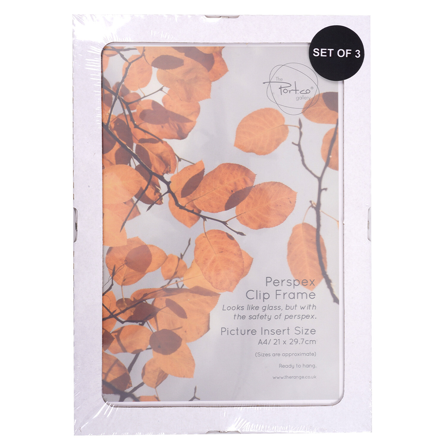 Set of 3 Perspex Clip Frames - Clear Image 4