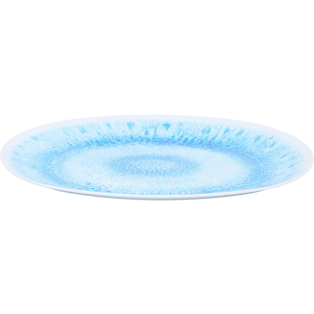 Neptune Oval Serving Platter Blue Image 4
