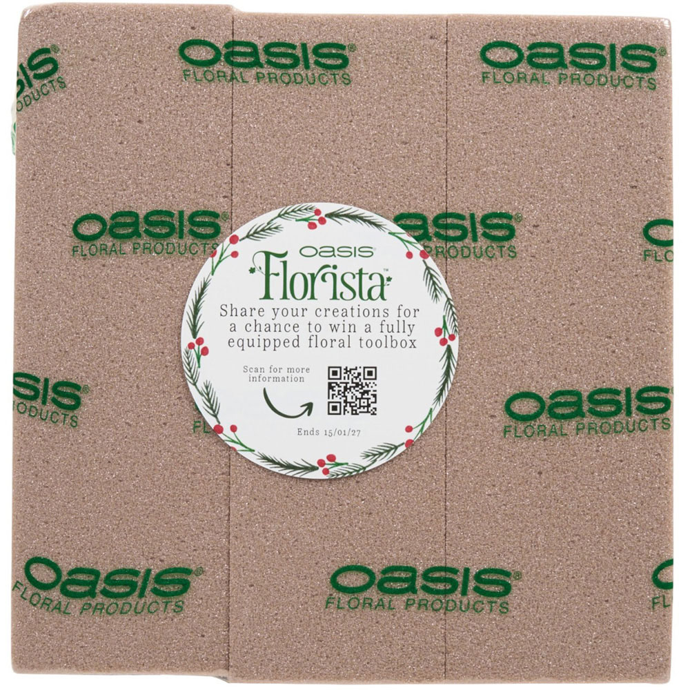 Pack of 3 Oasis Dry Foam Bricks Image 2