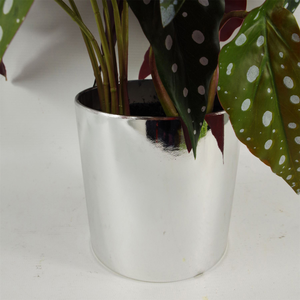 Botanik Begonia Maculata Foliage Artificial Plant in Pot 40cm Image 2