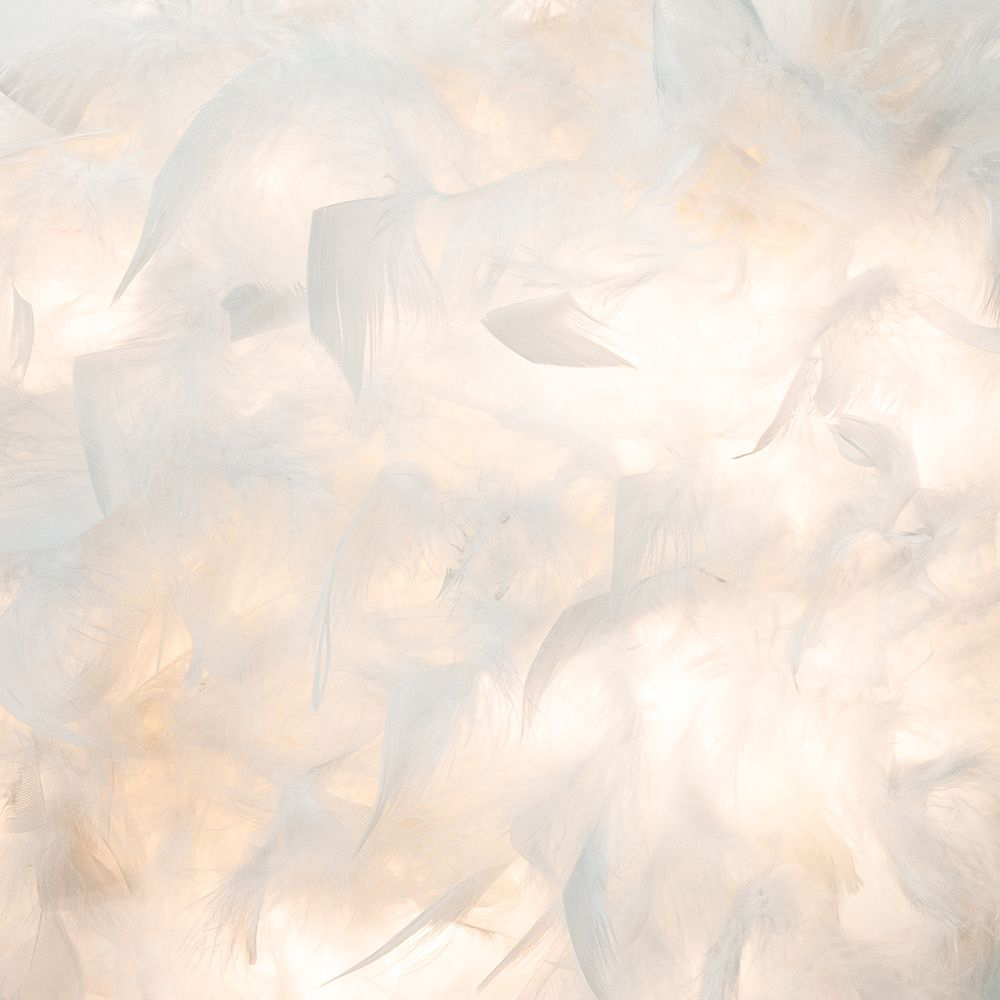 Happy Homewares Small White Feather Decorated Pendant Shade Image 3