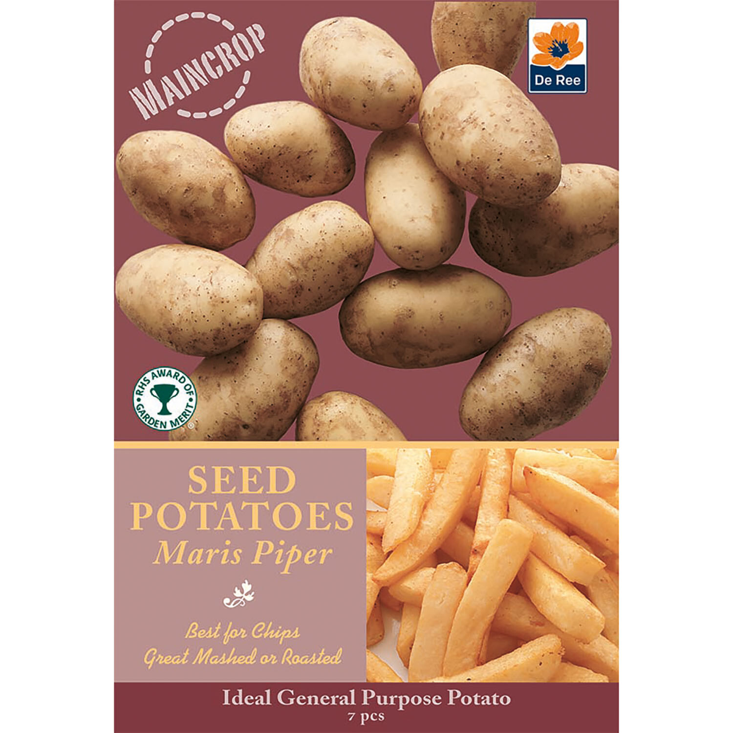 Onion and Vegetable Bulbs Image 7