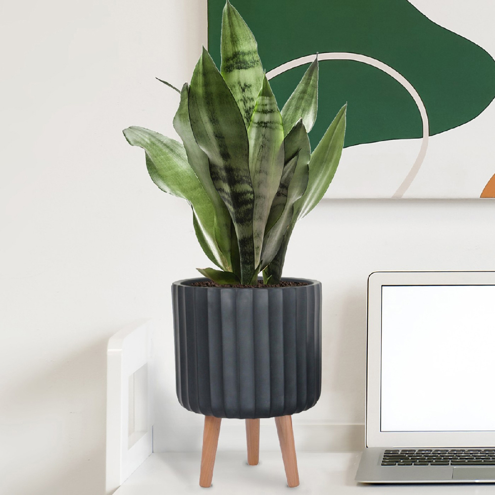 wilko Modern Ribbed Black Indoor Cylinder Plant Pot with Legs 32cm Image 4