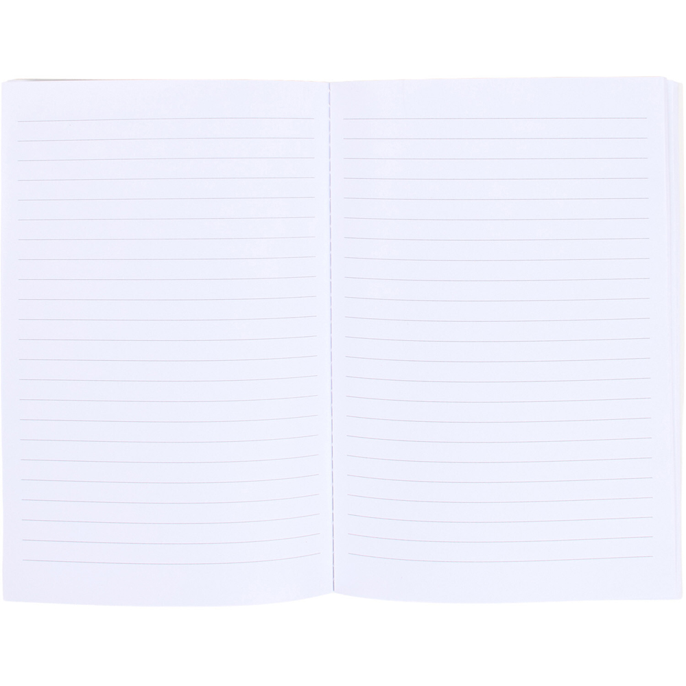 Pack of 3 Stripe Notebooks Image 4