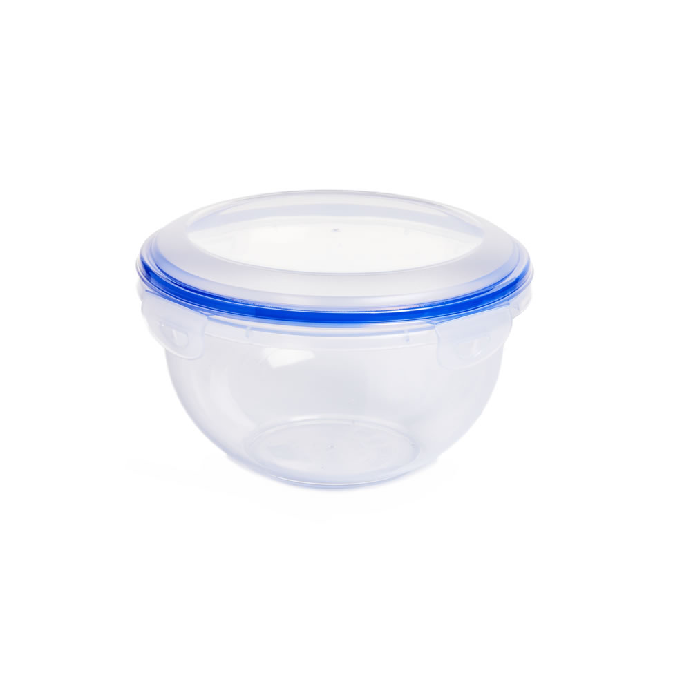 Wilko 1.5L Round Food Storage Container Wilko