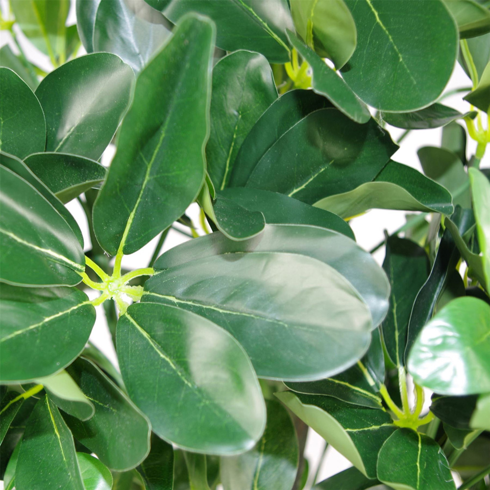 Leaf Arboricola Ficus Artificial Tree Pot 3ft Image 4