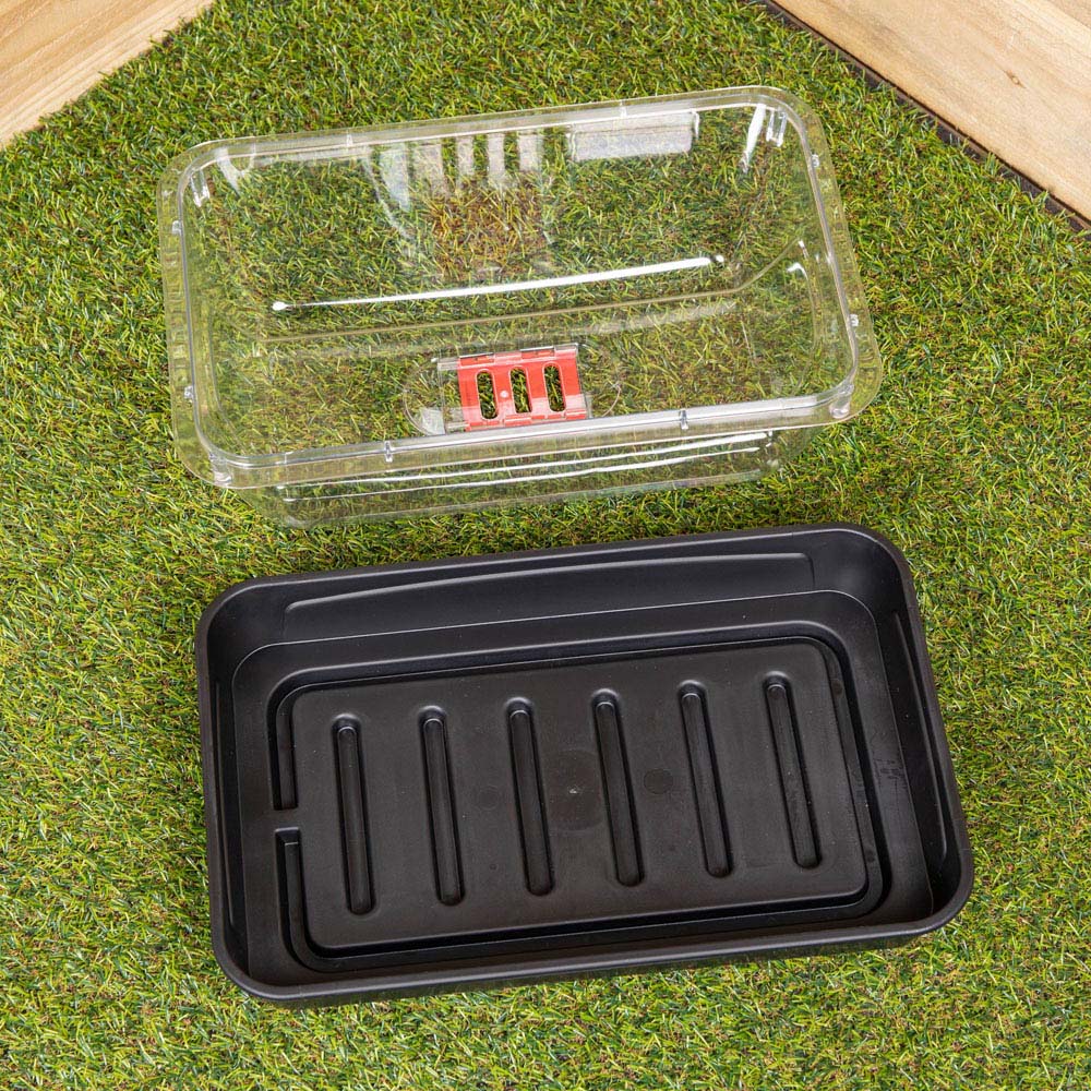 Samuel Alexander Sankey Seed Starter Tray Grostart Midi Propagator Kit Image 3