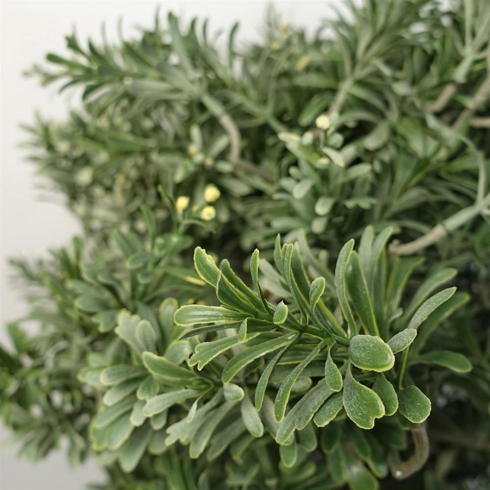 Leaf Artificial Artemisa Plant Topiary 70cm Image 3