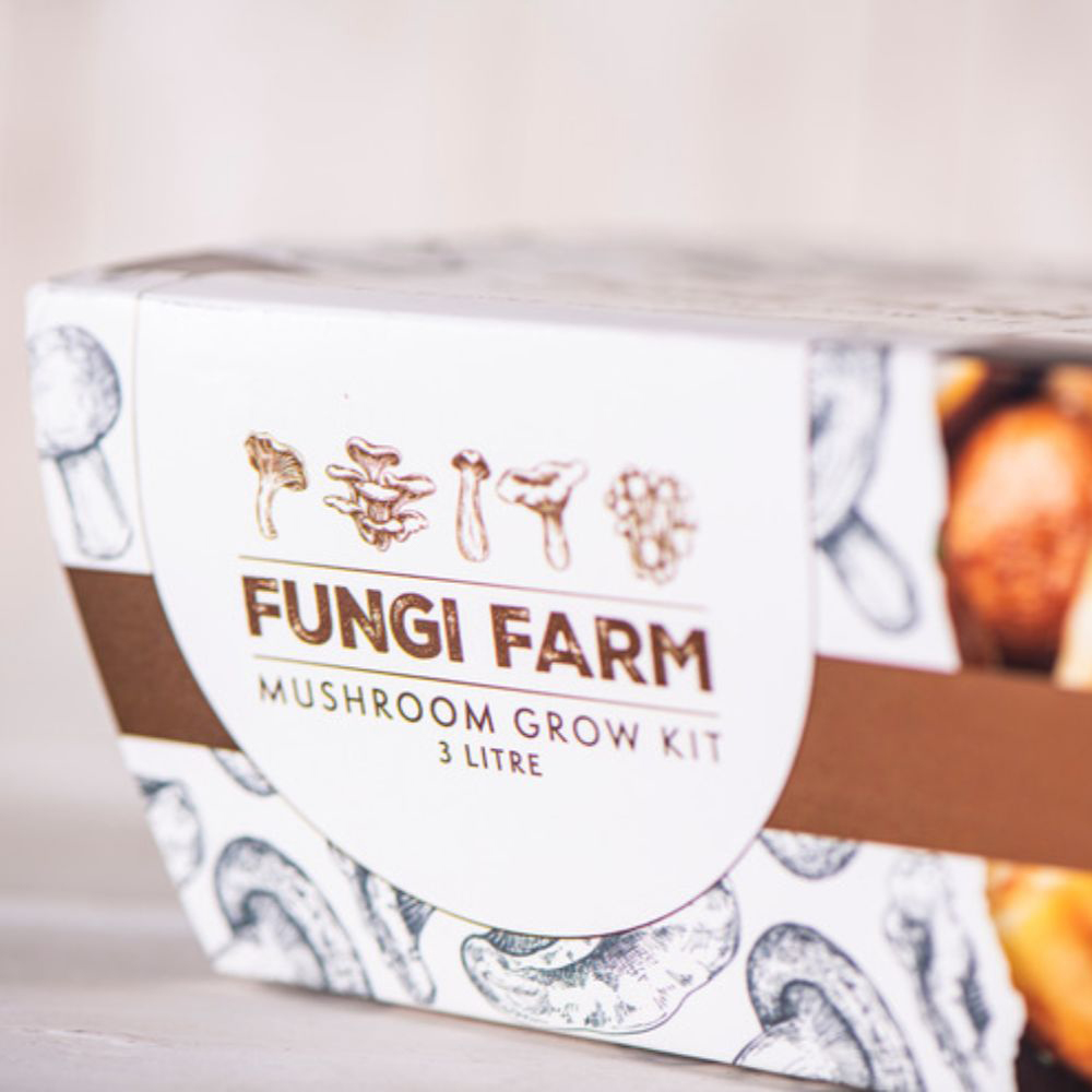 Thompson and Morgan Gift Mushroom Chestnut Prepack Windowsill Kit 3L Image 4