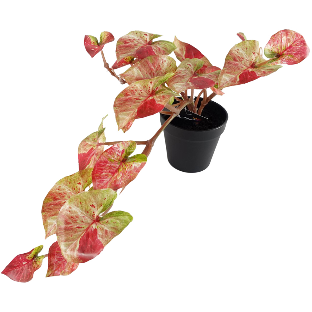Leaf Trailing Pink Splash Caladium Artificial Plant in Pot 35cm Image 1