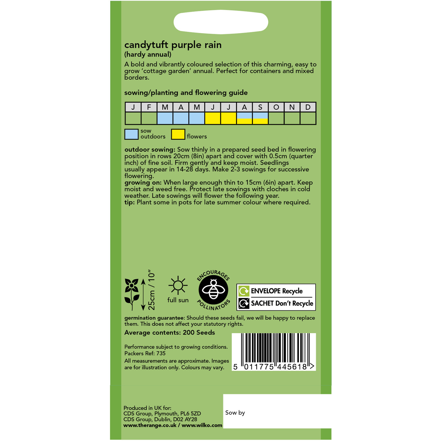 Wilko Candytuft Purple Rain Seeds Image 2