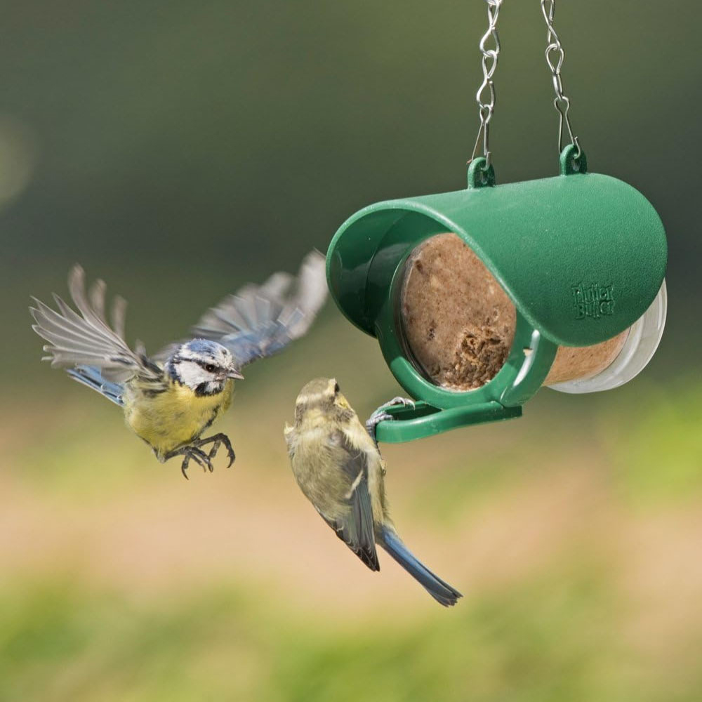 Happy Beaks Flutter Butter Hanging Bird Feeder Image 2