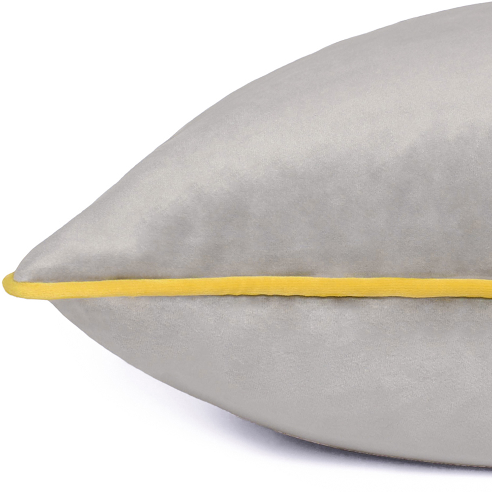 Paoletti Meridian Dove Cylon Velvet Cushion Image 3