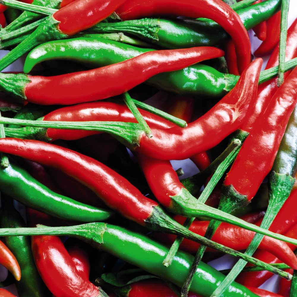 Thompson & Morgan Chilli Pepper Sizzler F1 Seed Packet Image 2