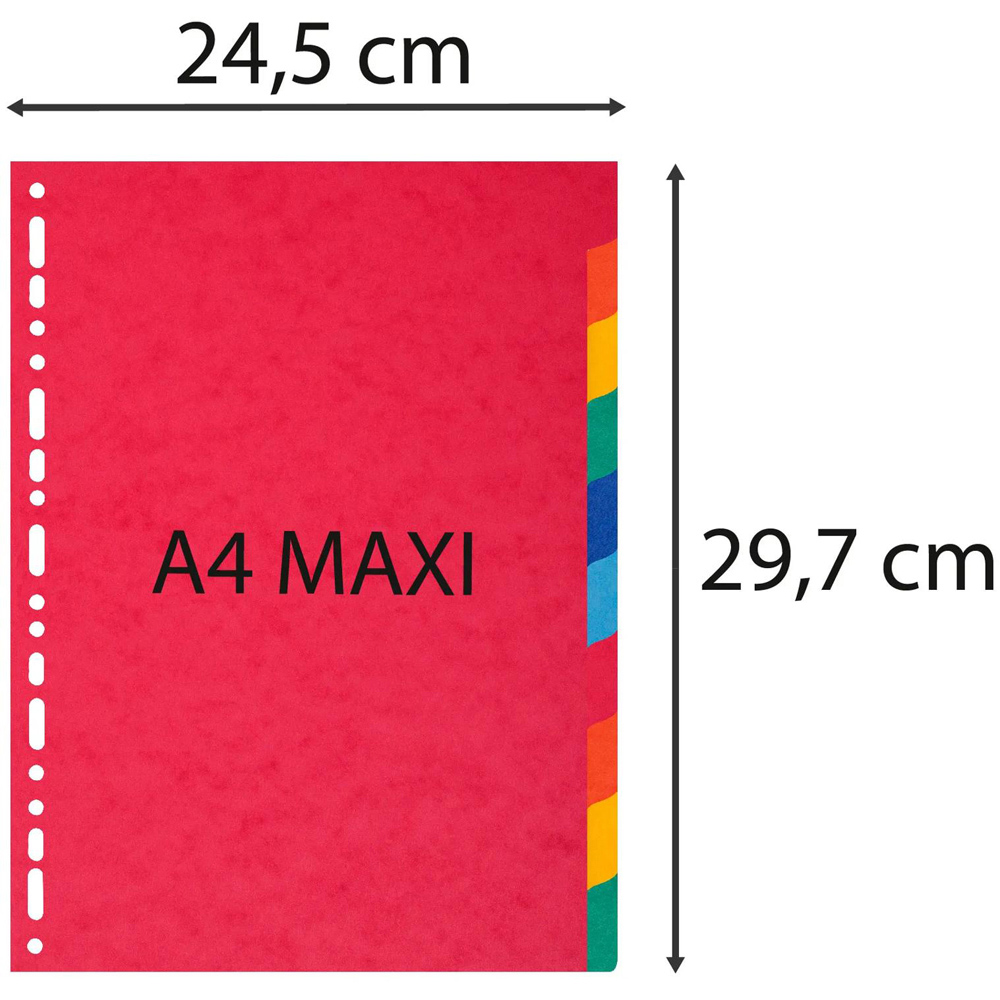 Exacompta Forever A4 Maxi 10 Sheet Assorted Colour Divider 25 Pack Image 3
