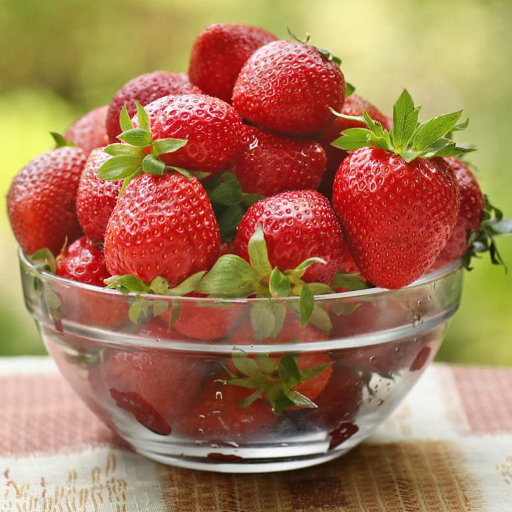 Thompson and Morgan Strawberry Full Season Collection 18 Bare Roots Image 2