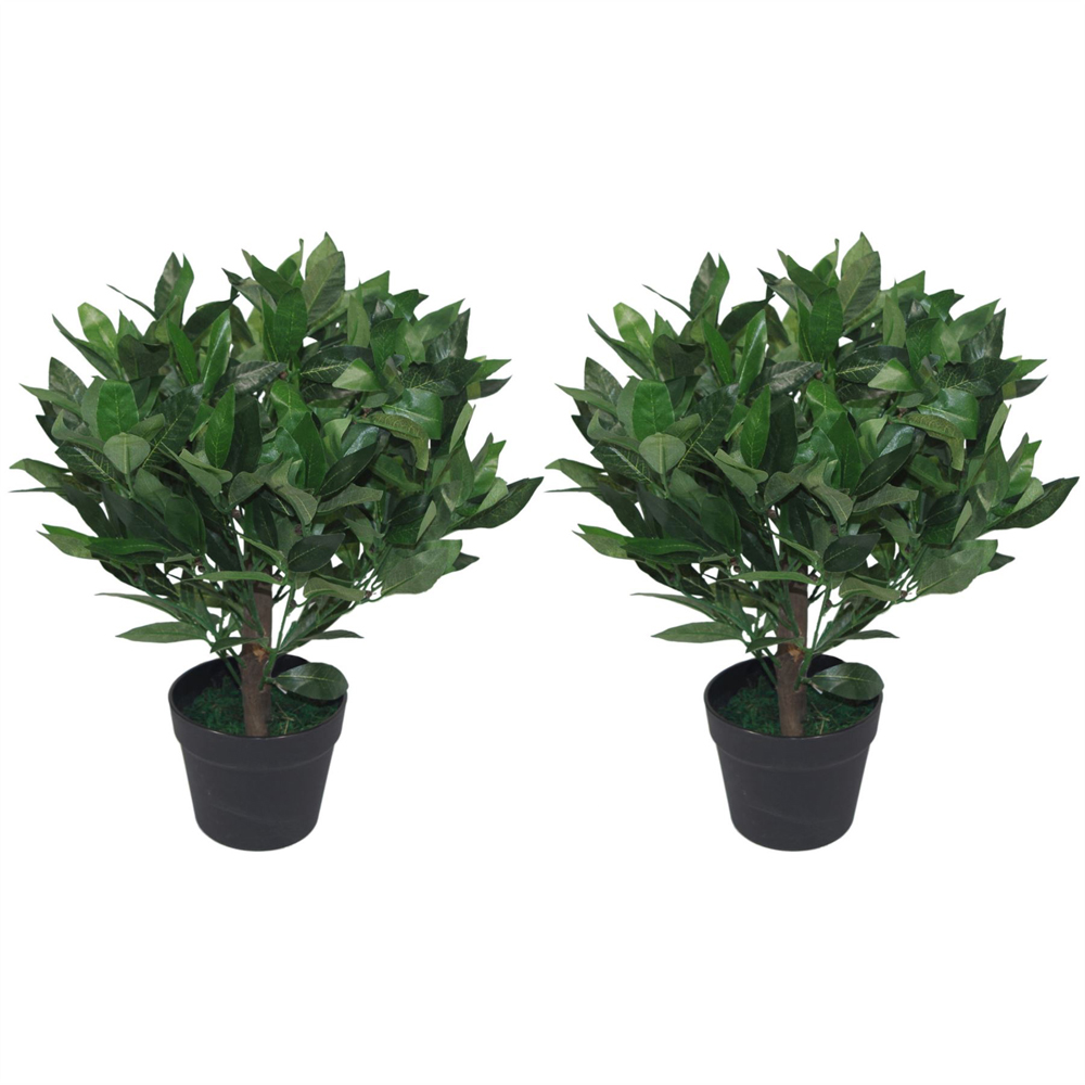 Leaf Artificial Dwarf Bay Laurel Topiary Tree 50cm 2 Pack Image 1
