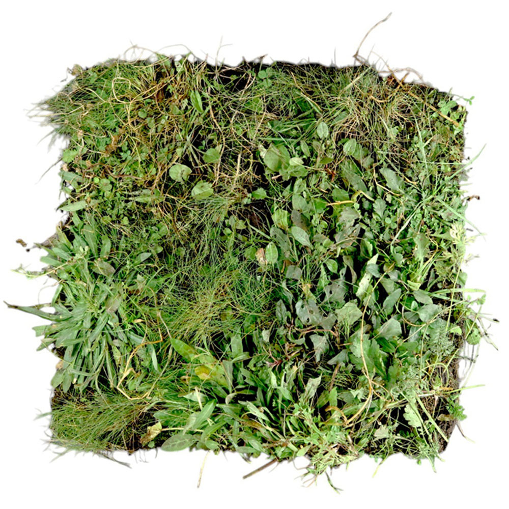 Harrowden Wildflower and Grass Meadowmat 20sqm Image 1