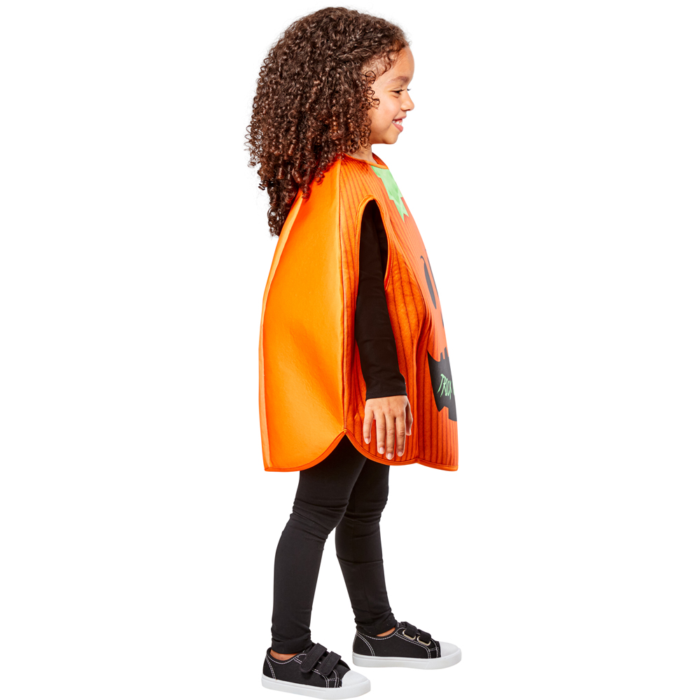 Rubies Masquerade Toddlers Pumpkin Costume 4 to 5 Years Image 4