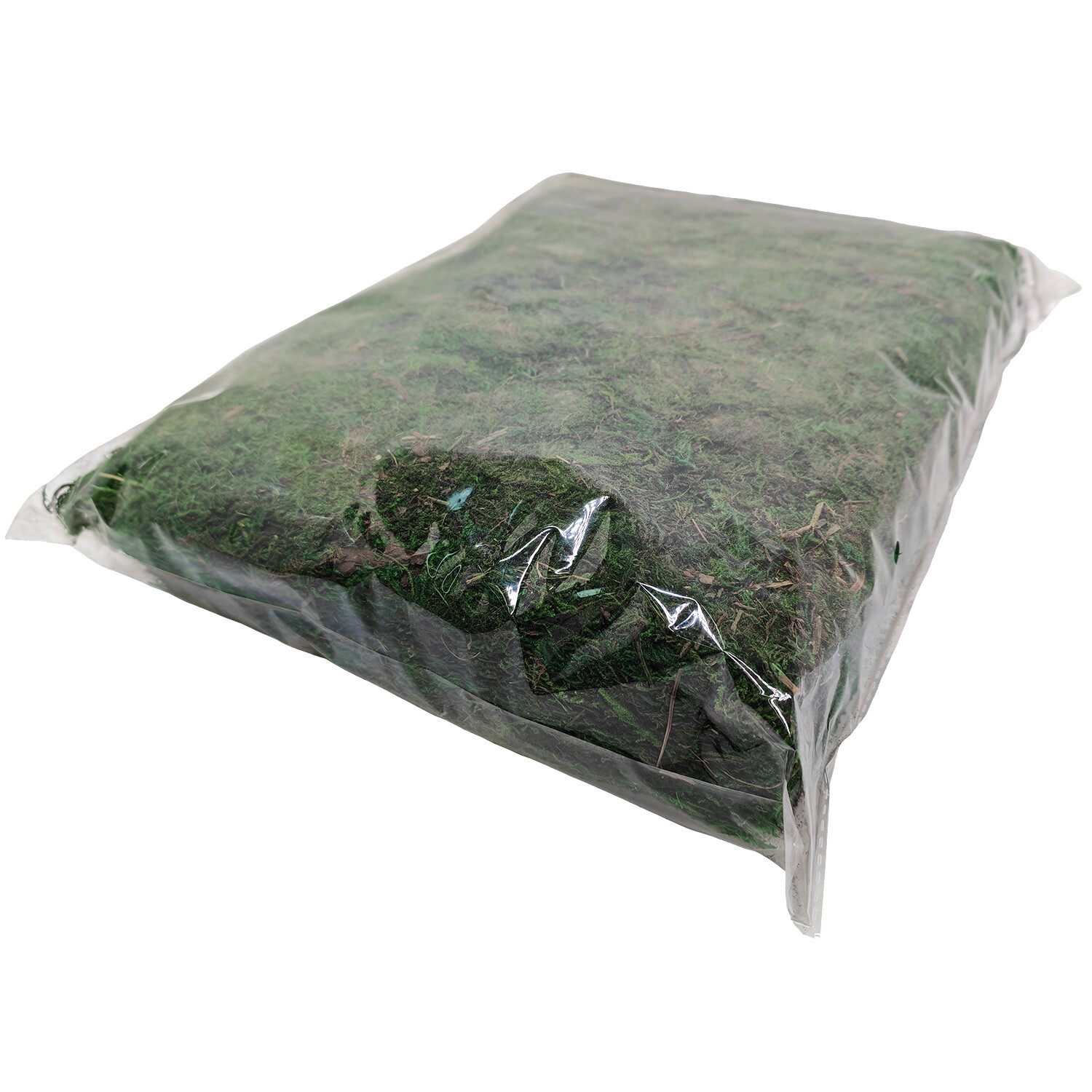 Craft Moss 500g - Green Image 3