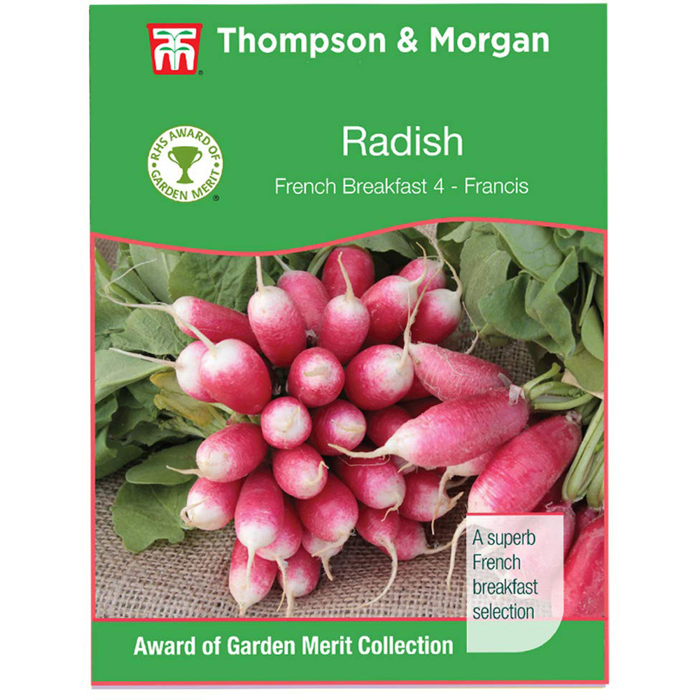 Thompson & Morgan Radish French Breakfast 3 Seeds Image 2