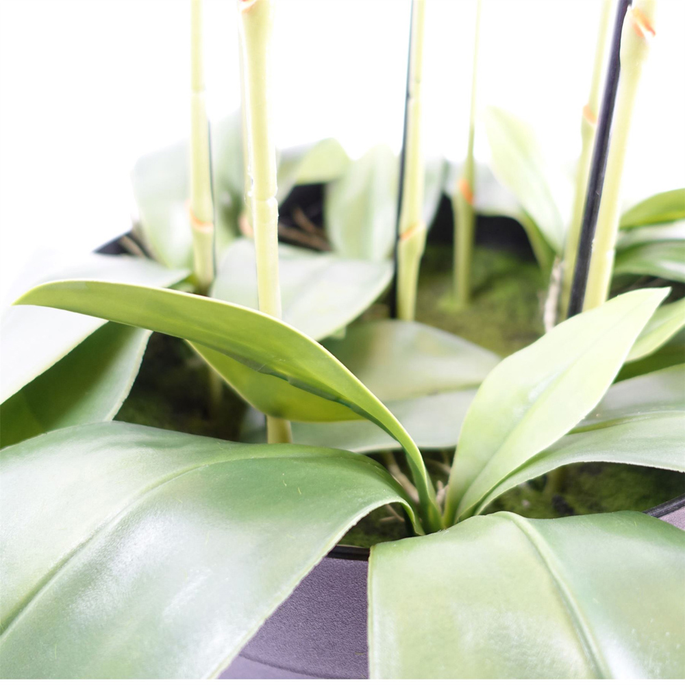 Botanik Giant Pink Orchid Artificial Plant in Pot 5ft Image 5