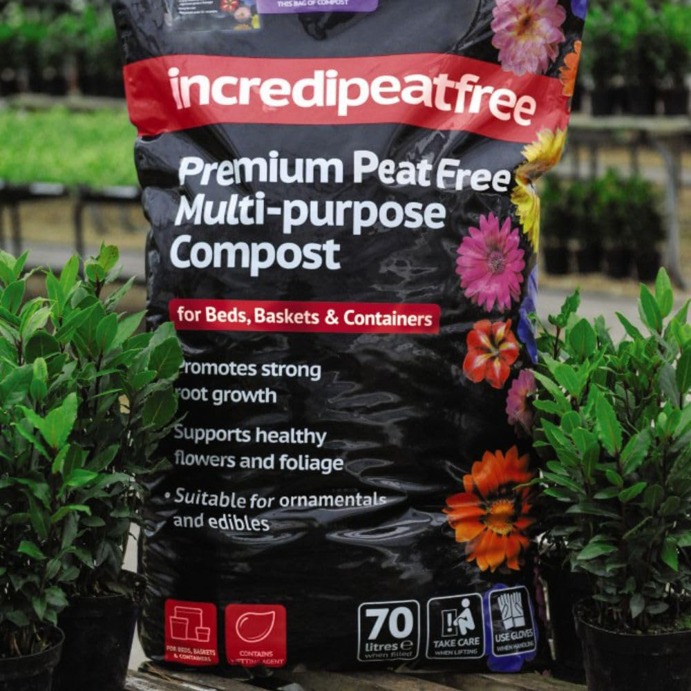 Thompson and Morgan Thunbergia Sunny Susy Tower Pot Collection Plug Plant 10 Pack Image 4