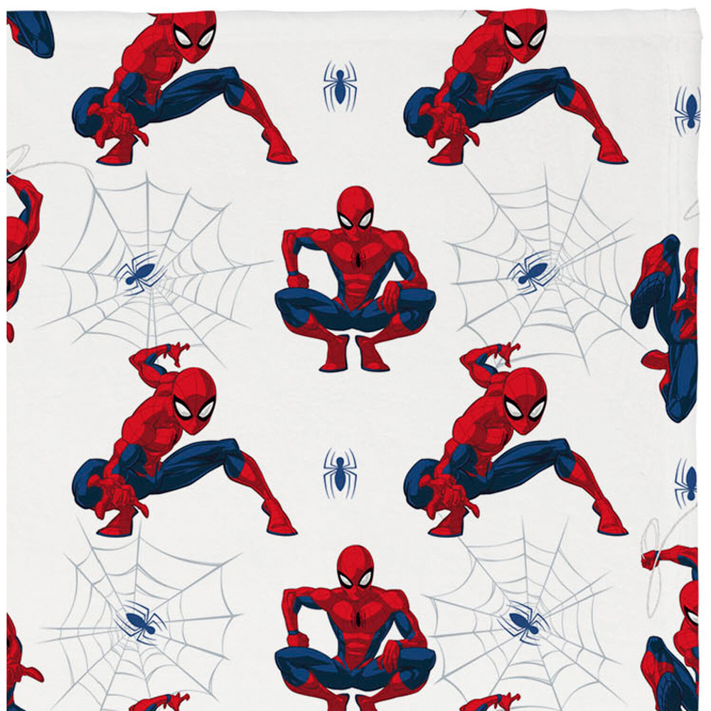 Spider-Man Action Throw Image 3