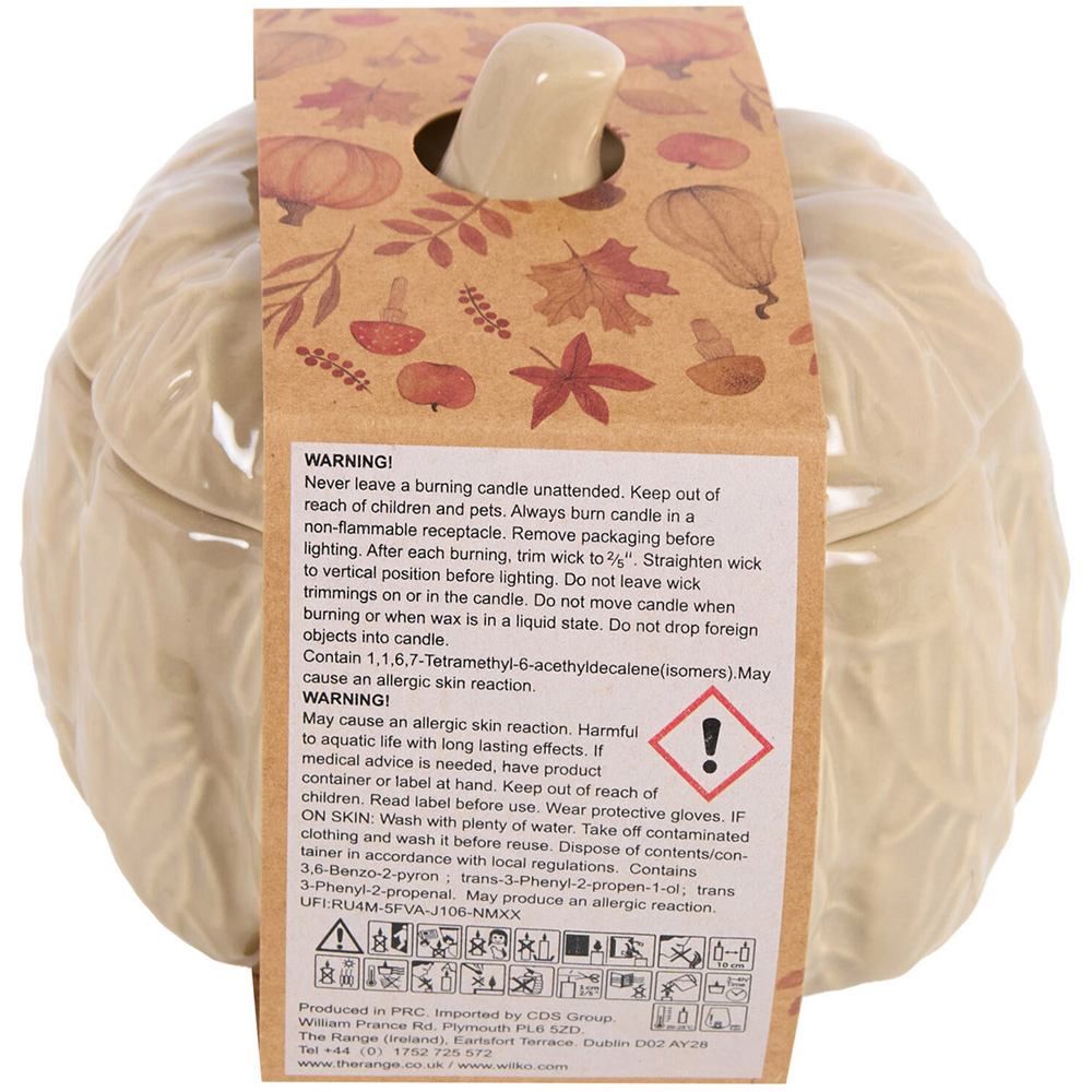 Large Ceramic Pumpkin Shaped Candle Image 3