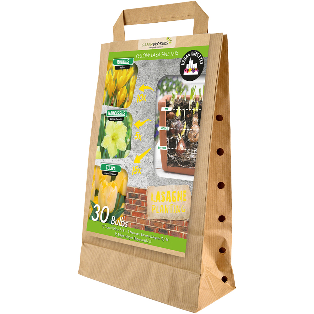 GreenBrokers Yellow Lasagne Bee Friendly Mixed Planting Spring Bulb 30 Pack Image 1