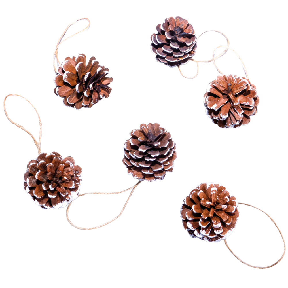 St Helens White Tipped Hanging Pinecone Ornaments 6 Pack Image 1