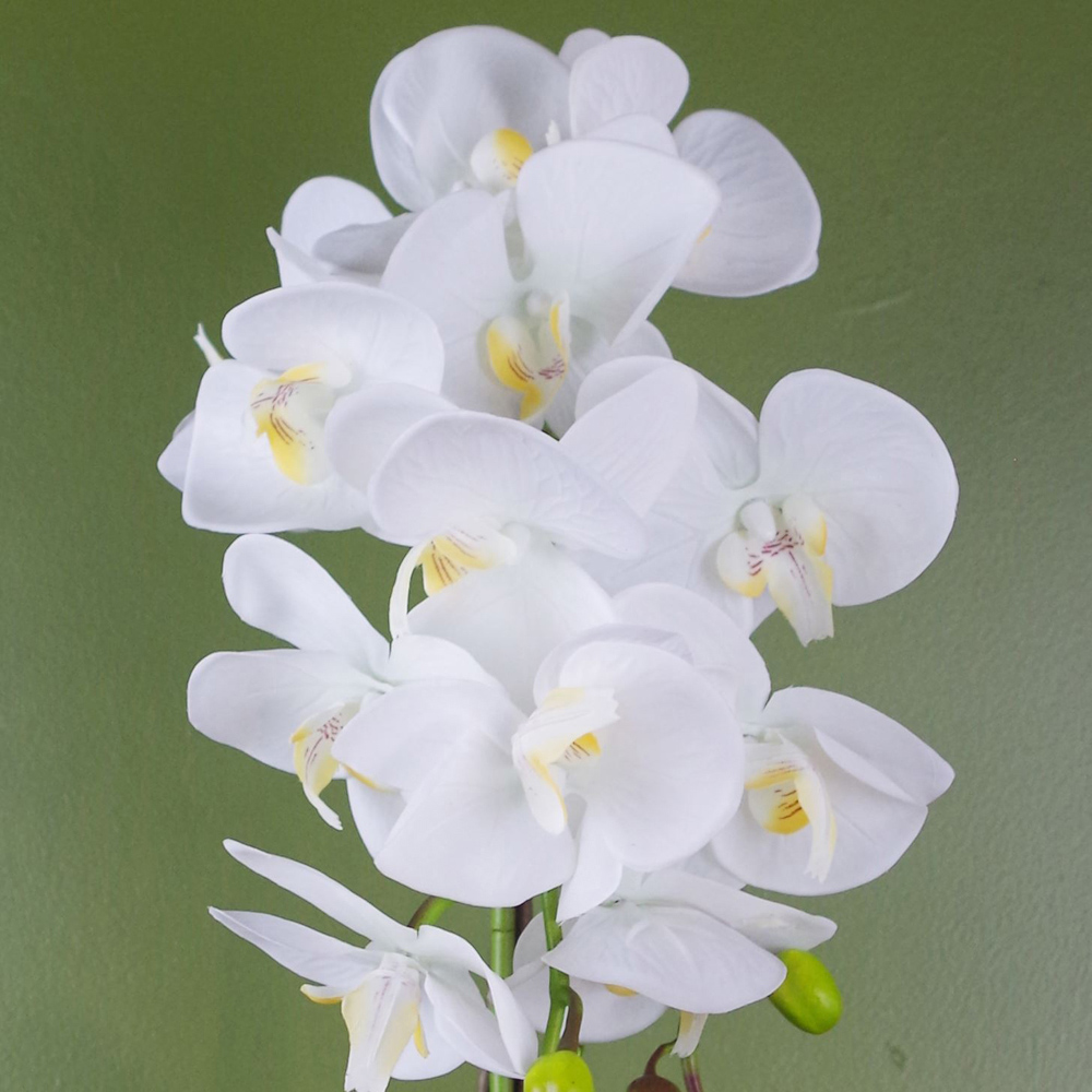 Botanik White Orchid Artificial Plant in Gold Pot 52cm Image 3