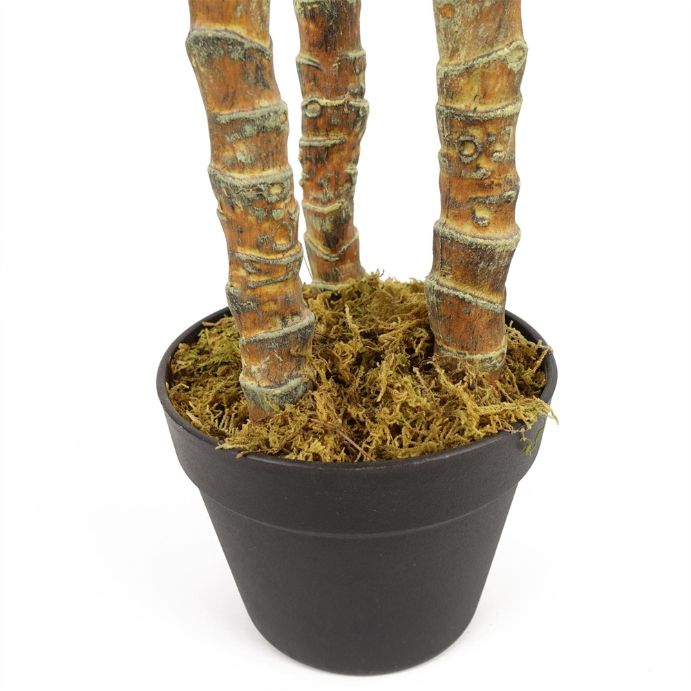 Botanik Tropical Yukka Artificial Tree in Pot 6ft Image 3