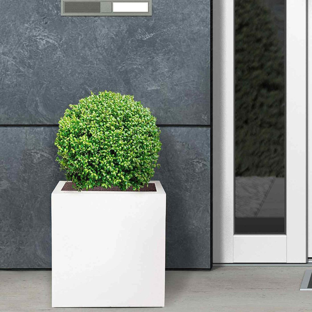 wilko Flower Box Square White Light Concrete Outdoor Planter 30cm Image 2