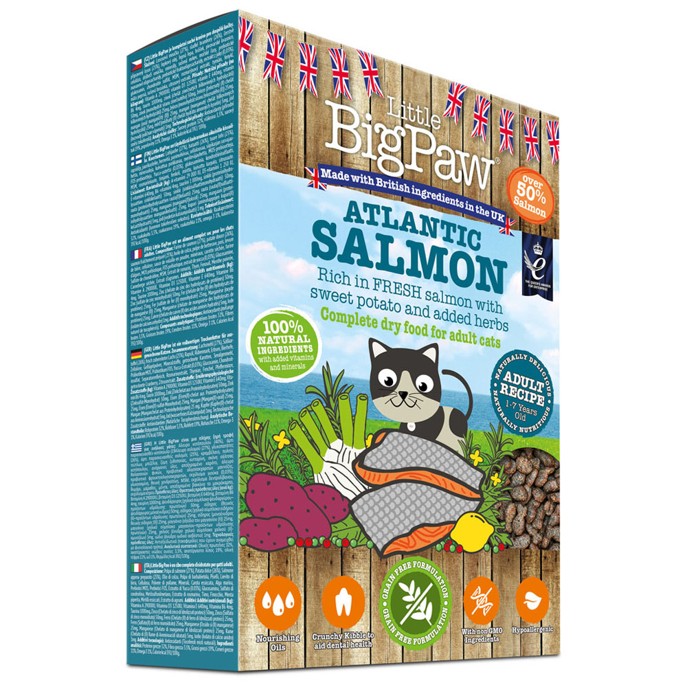Little BigPaw Salmon Dry Cat Food 350g Image 1
