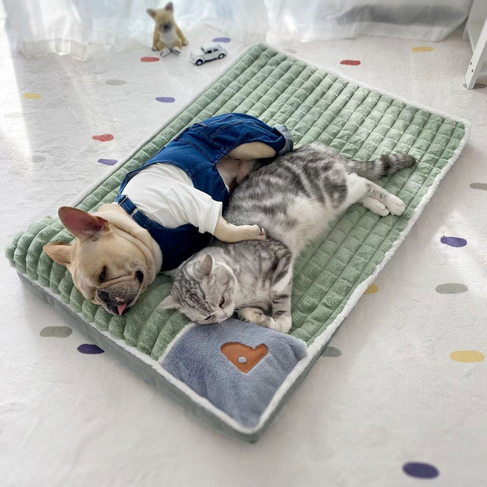 H&O Direct Green Washable Pet Sleeping Mat 50 x 35cm Image 2