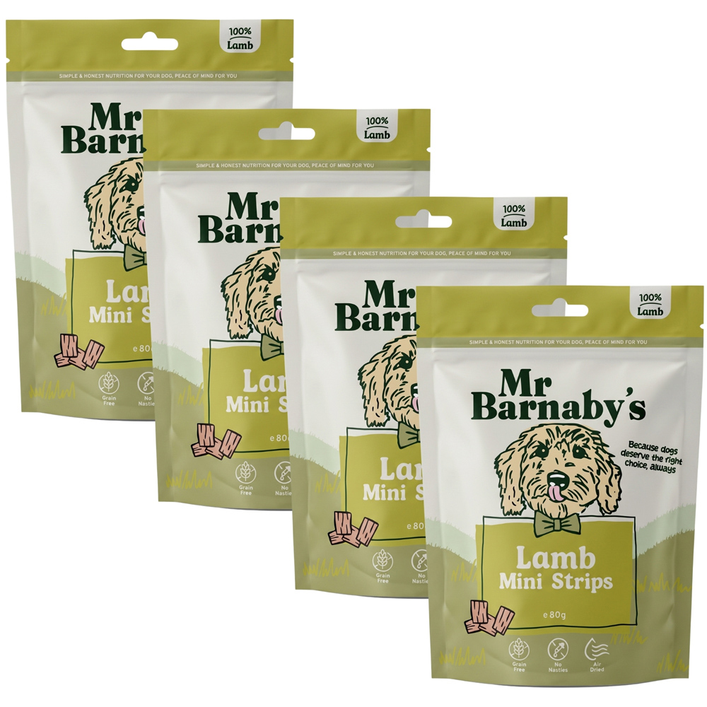 Mr Barnaby's Lamb Mini Strips Dog Treats 80g 4 Pack Image 1